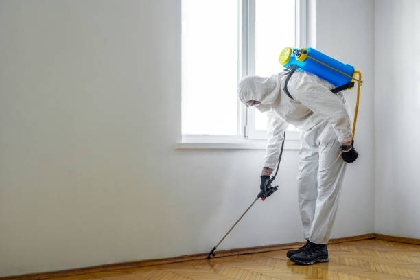 Best Affordable Pest Control Services  in Summit Hill, PA