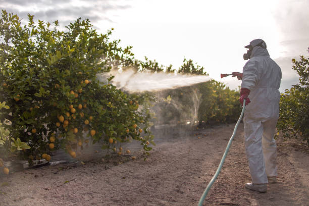 Best Residential Pest Control  in Summit Hill, PA