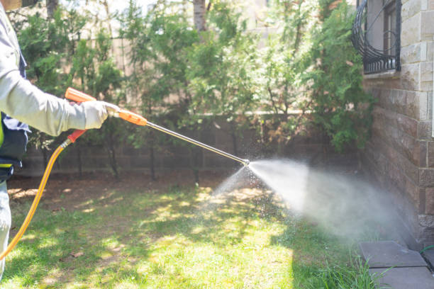 Best Flea Control Services  in Summit Hill, PA