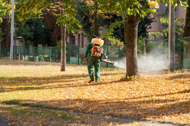 Best Pest Prevention Services  in Summit Hill, PA