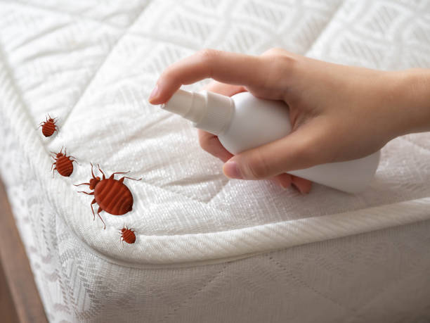Best Best Pest Control Companies  in Summit Hill, PA