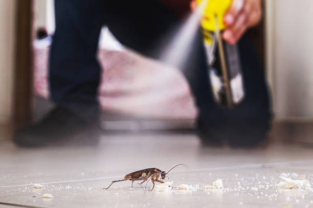 Best Pest Removal Services  in Summit Hill, PA