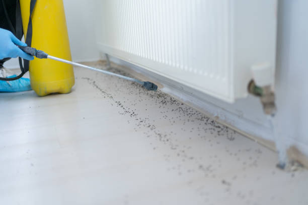  Summit Hill, PA Pest Control Pros