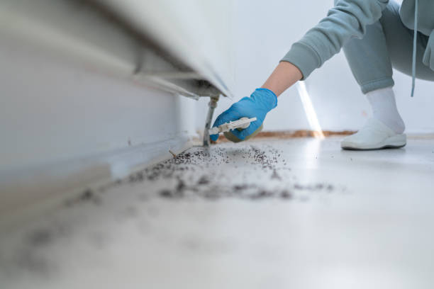Best Best Pest Control Companies  in Summit Hill, PA